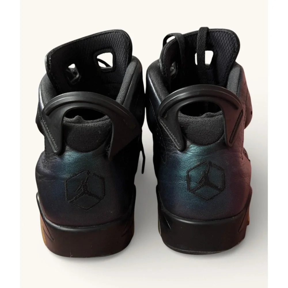 Air Jordan 6 Retro All Star Chameleon Men's 10.5 Black 907961-015 2017